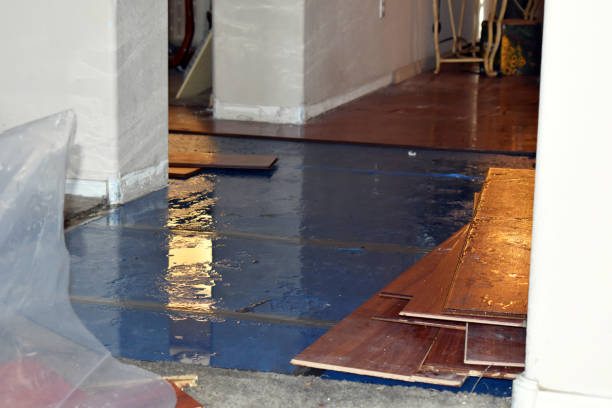 Professional Flood Damage Restoration technician working in Forest Park, OH